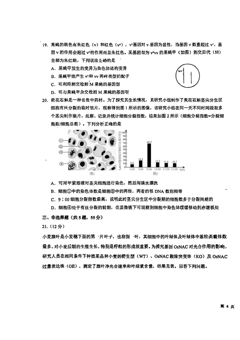 吉林省东北师范大学附属中学2024-2025学年高三上学期第一次摸底考试生物试卷_2024-2025高三（6-6月题库）_2024年10月试卷