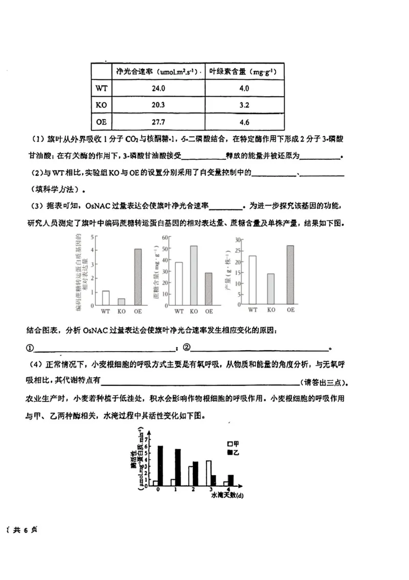 吉林省东北师范大学附属中学2024-2025学年高三上学期第一次摸底考试生物试卷_2024-2025高三（6-6月题库）_2024年10月试卷
