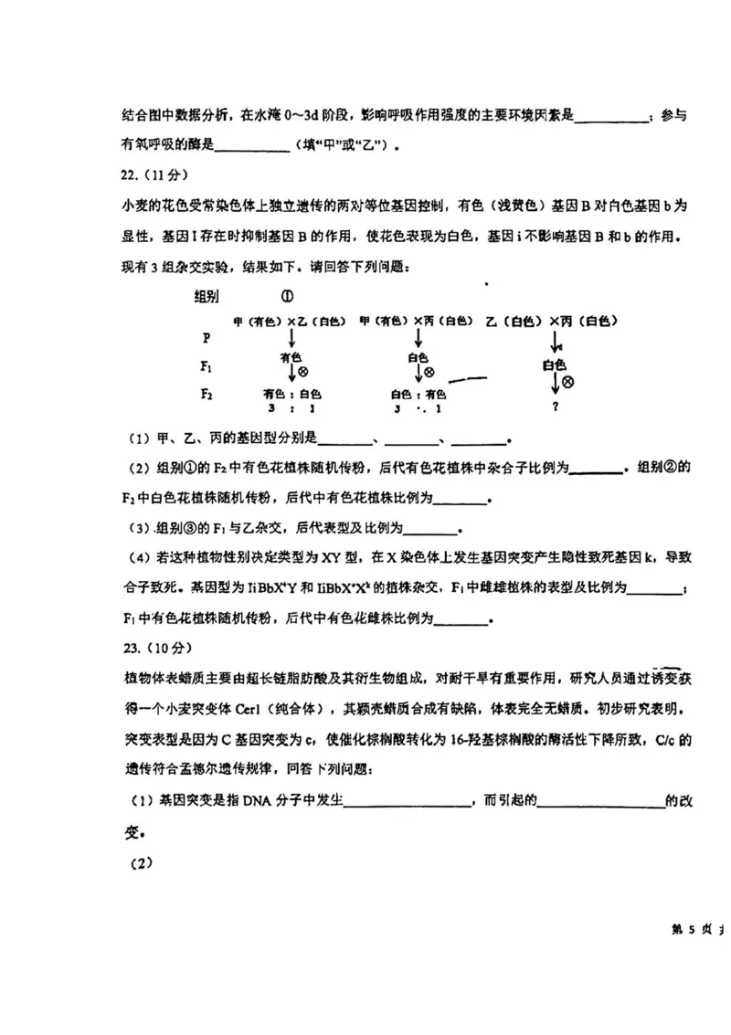 吉林省东北师范大学附属中学2024-2025学年高三上学期第一次摸底考试生物试卷_2024-2025高三（6-6月题库）_2024年10月试卷
