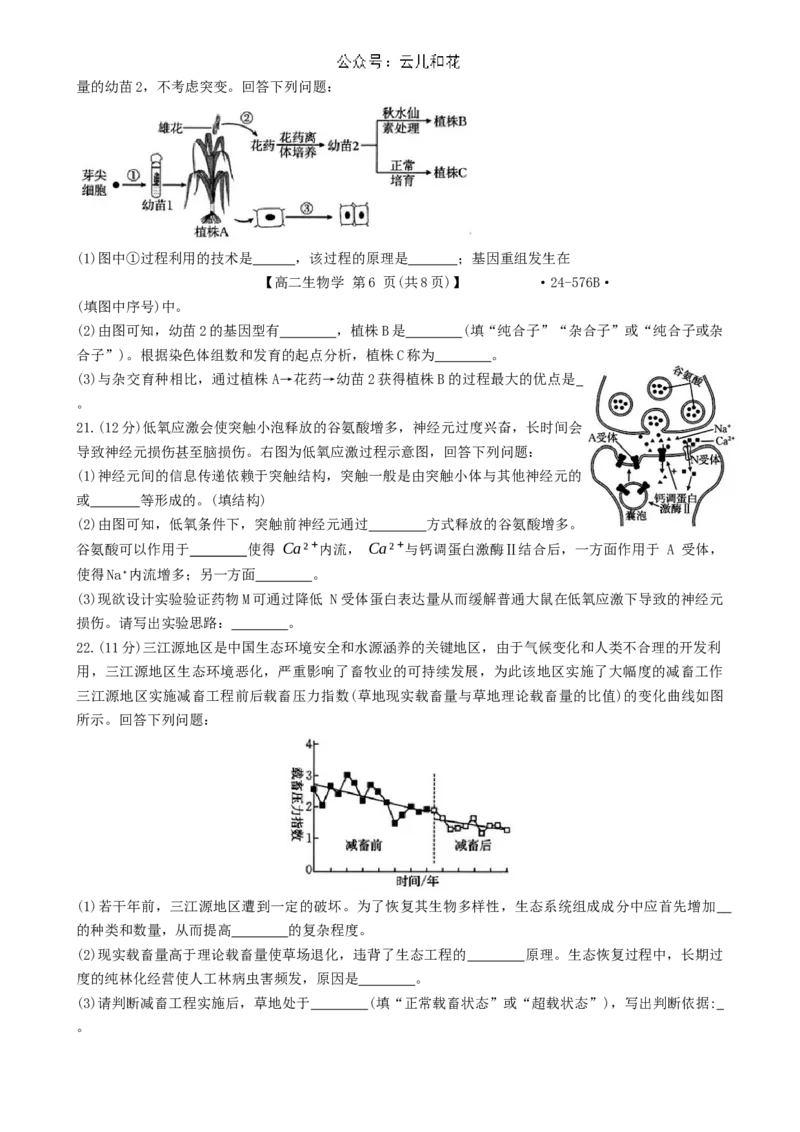 河北省邯郸市2023-2024学年高二第二(下)学期期末考试+生物_2024-2025高二（7-7月题库）_2024年07月试卷_0712河北省邯郸市2023-2024学年高二第二(下)学期期末考试