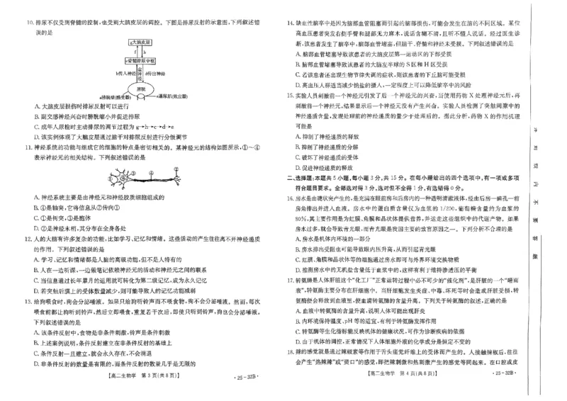 河南省创新发展联盟2024-2025学年高二上学期第一次联考生物32B(1)_2024-2025高二（7-7月题库）_2024年10月试卷_1006河南省创新发展联盟2024-2025学年高二上学期第一次联考（金太阳25-32B）