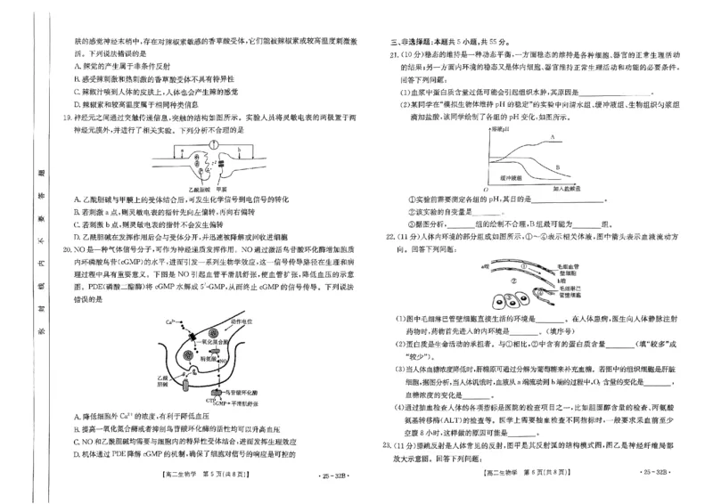 河南省创新发展联盟2024-2025学年高二上学期第一次联考生物32B(1)_2024-2025高二（7-7月题库）_2024年10月试卷_1006河南省创新发展联盟2024-2025学年高二上学期第一次联考（金太阳25-32B）
