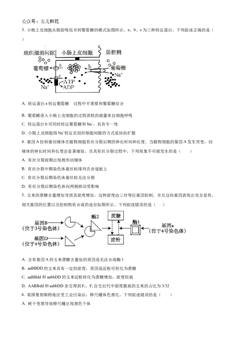 山西省名校2024-2025学年高二上学期10月联合考试生物试题含答案_2024-2025高二（7-7月题库）_2024年10月试卷_1023山西省名校2024-2025学年高二上学期10月联合考试