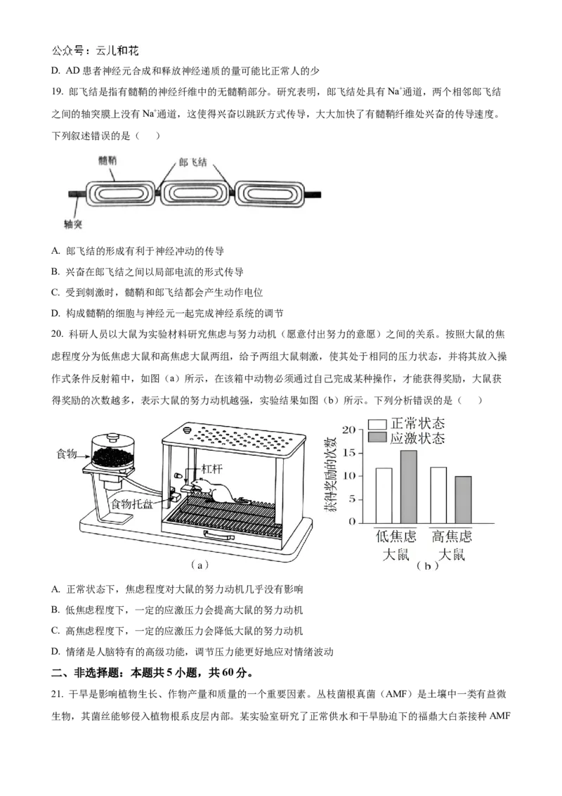 山西省名校2024-2025学年高二上学期10月联合考试生物试题含答案_2024-2025高二（7-7月题库）_2024年10月试卷_1023山西省名校2024-2025学年高二上学期10月联合考试