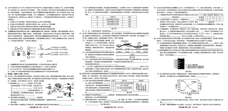 重庆市大足中学2023-2024学年高三下学期3月适应性考试生物试题_2024年3月_013月合集_2024届新高考金卷重庆市适应卷（三）_新高考金卷重庆市2024届适应卷（三）生物试题
