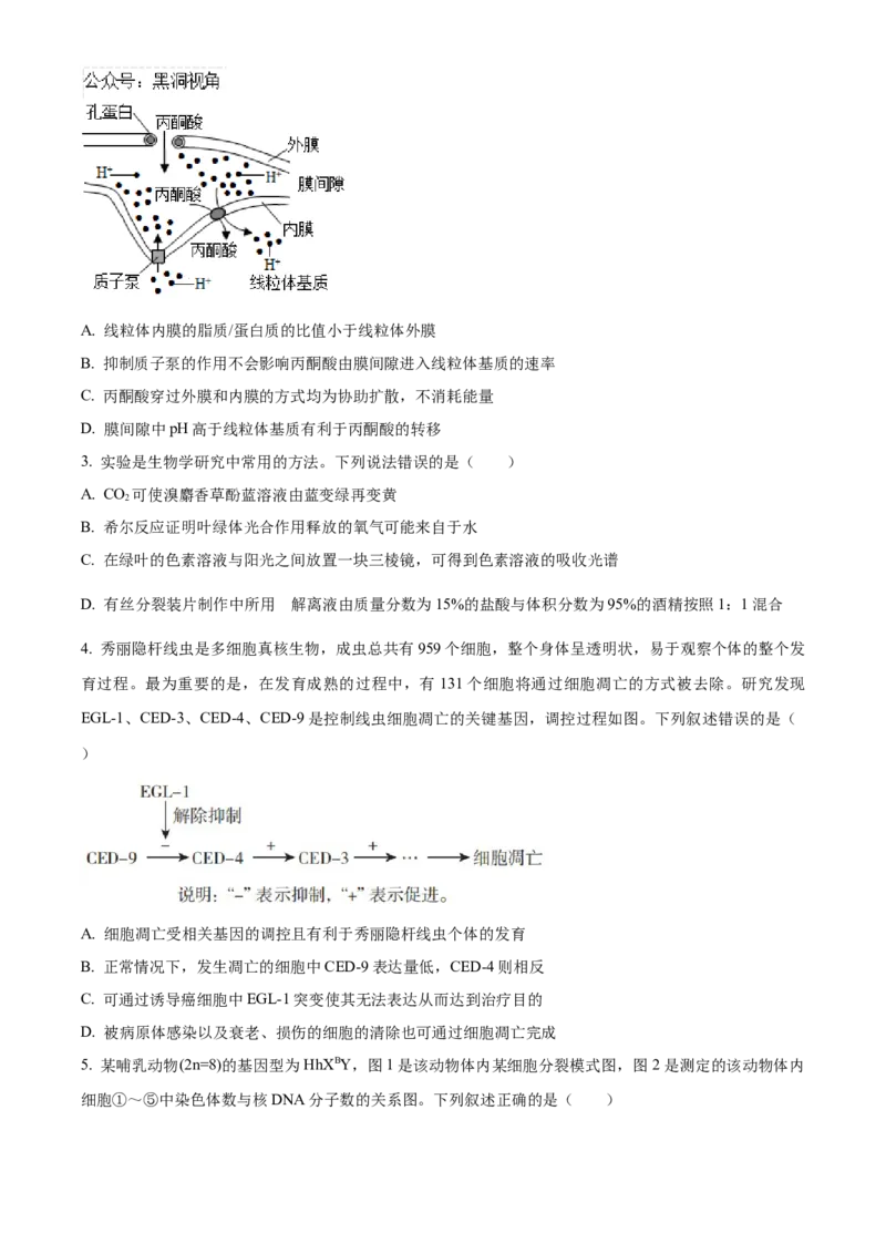 山东省济南第一中学2024-2025学年高三上学期期中学情检测试题生物_2024-2025高三（6-6月题库）_2024年12月试卷_1205山东省济南第一中学2024-2025学年高三上学期期中学情检测（全科）