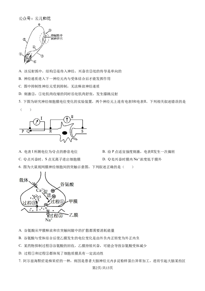 江苏省南京市六校联合体2024-2025学年高二上学期10月月考生物试题_2024-2025高二（7-7月题库）_2024年10月试卷_1025江苏省南京市六校联合体2024-2025学年高二上学期10月月考