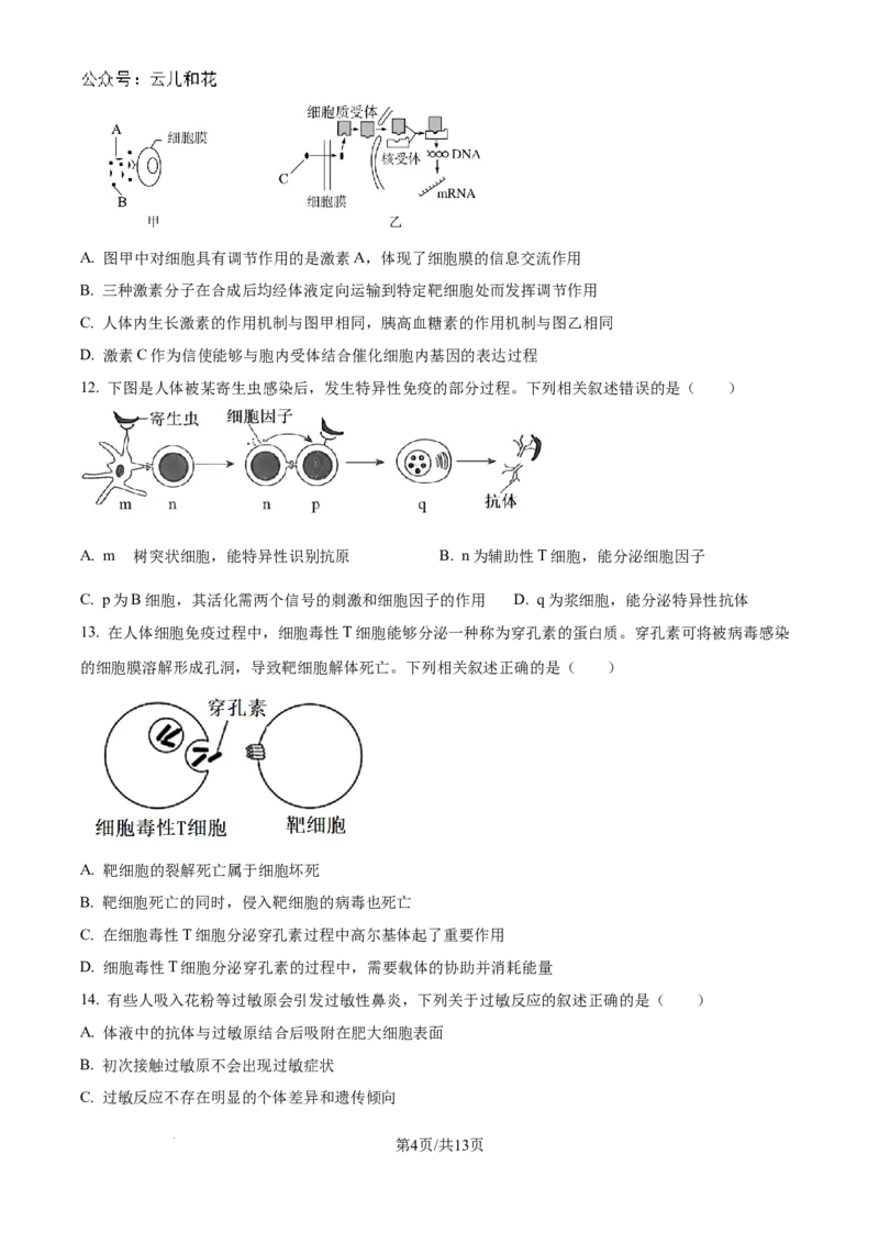 江苏省南京市六校联合体2024-2025学年高二上学期10月月考生物试题_2024-2025高二（7-7月题库）_2024年10月试卷_1025江苏省南京市六校联合体2024-2025学年高二上学期10月月考