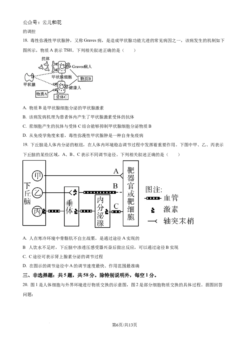 江苏省南京市六校联合体2024-2025学年高二上学期10月月考生物试题_2024-2025高二（7-7月题库）_2024年10月试卷_1025江苏省南京市六校联合体2024-2025学年高二上学期10月月考
