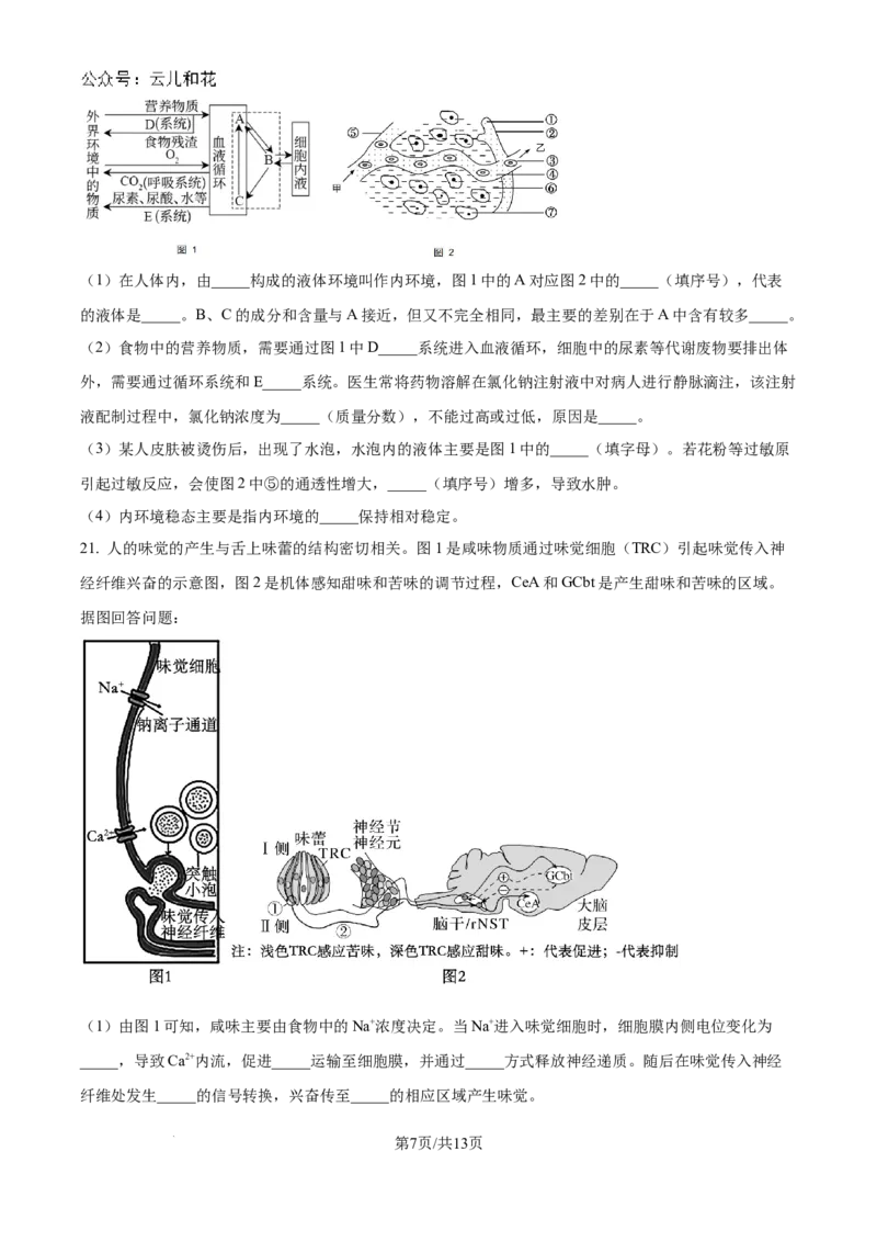 江苏省南京市六校联合体2024-2025学年高二上学期10月月考生物试题_2024-2025高二（7-7月题库）_2024年10月试卷_1025江苏省南京市六校联合体2024-2025学年高二上学期10月月考