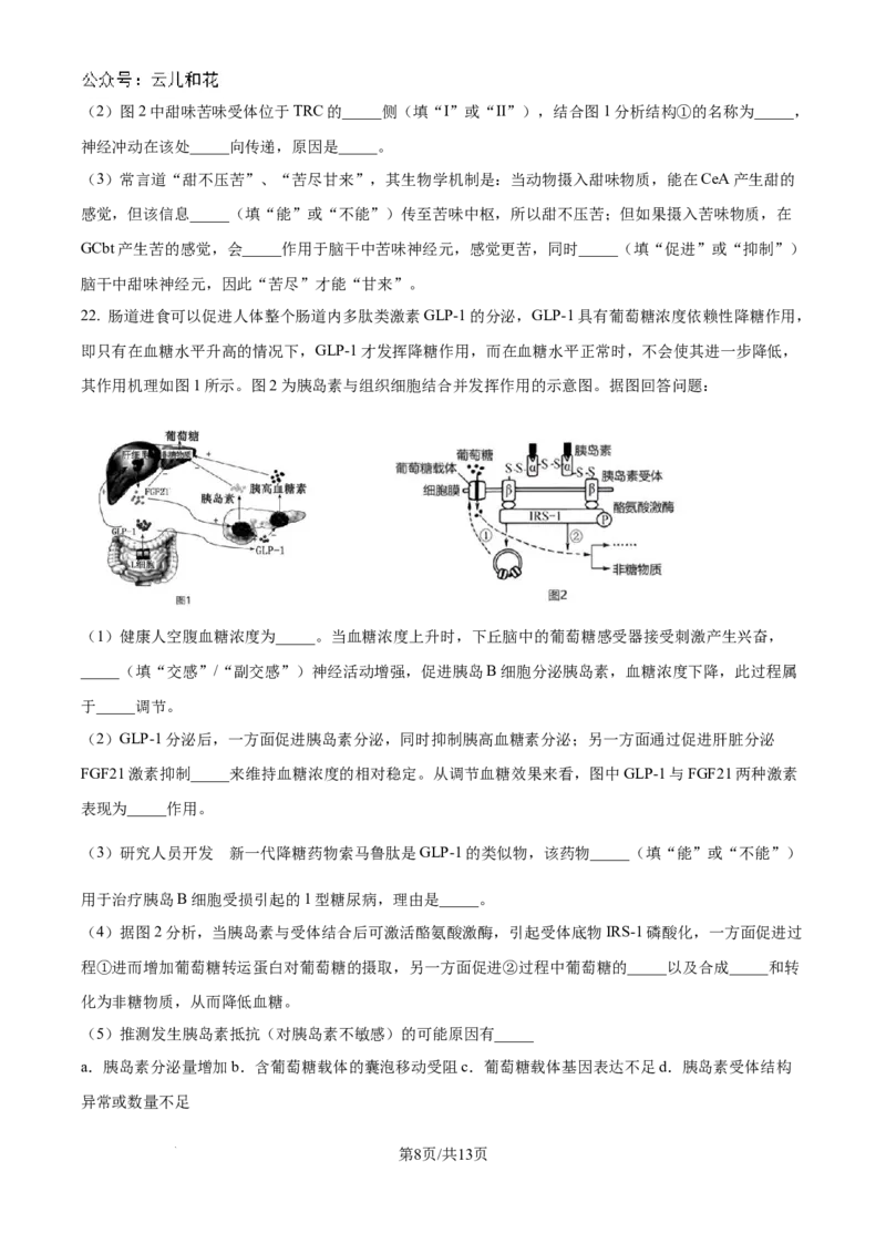 江苏省南京市六校联合体2024-2025学年高二上学期10月月考生物试题_2024-2025高二（7-7月题库）_2024年10月试卷_1025江苏省南京市六校联合体2024-2025学年高二上学期10月月考