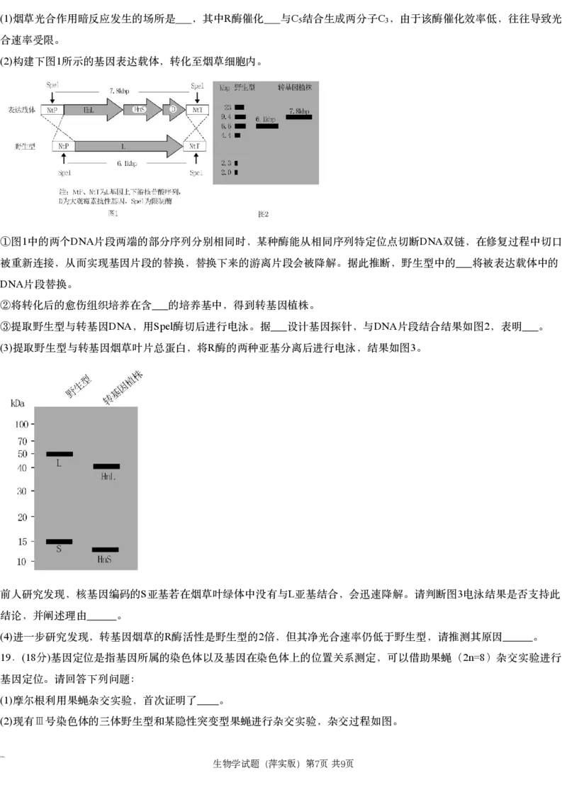 江西省萍乡市萍乡中学2025届高三上学期月考卷（五）生物_2024-2025高三（6-6月题库）_2024年12月试卷_1219炎德英才大联考江西省萍乡中学2025届高三上学期月考卷（五）