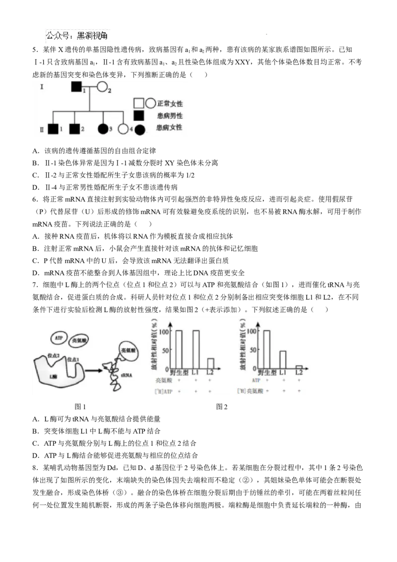 四川省成都市树德中学2024-2025学年高三上学期12月月考生物+答案_2024-2025高三（6-6月题库）_2024年12月试卷_1219四川省成都市树德中学2024-2025学年高三上学期12月月考