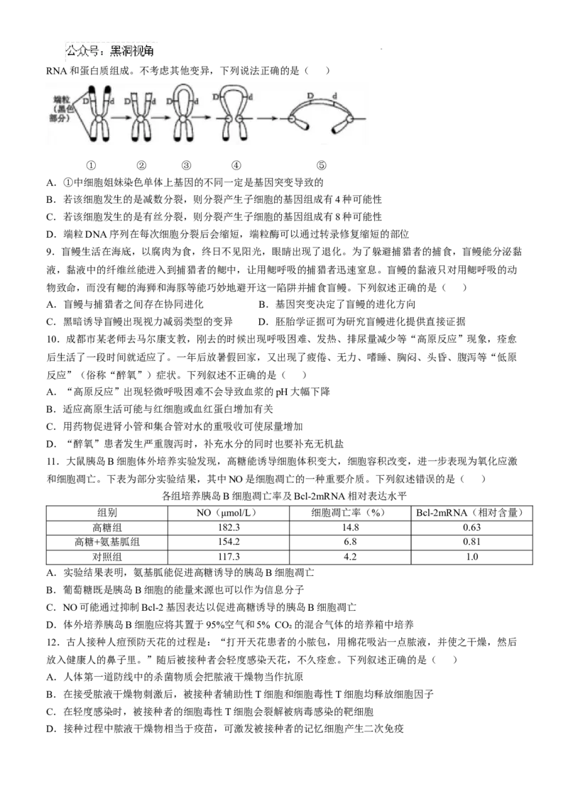 四川省成都市树德中学2024-2025学年高三上学期12月月考生物+答案_2024-2025高三（6-6月题库）_2024年12月试卷_1219四川省成都市树德中学2024-2025学年高三上学期12月月考