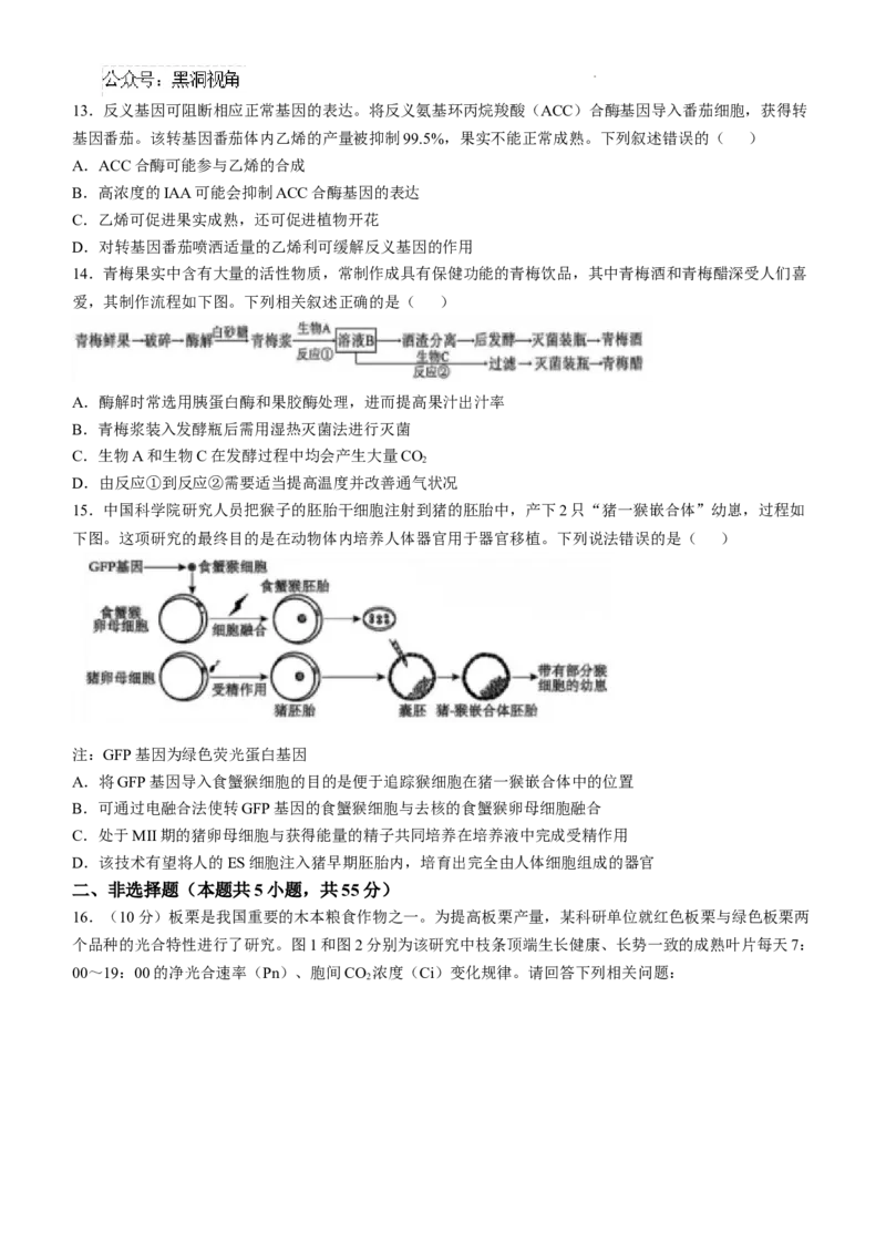 四川省成都市树德中学2024-2025学年高三上学期12月月考生物+答案_2024-2025高三（6-6月题库）_2024年12月试卷_1219四川省成都市树德中学2024-2025学年高三上学期12月月考