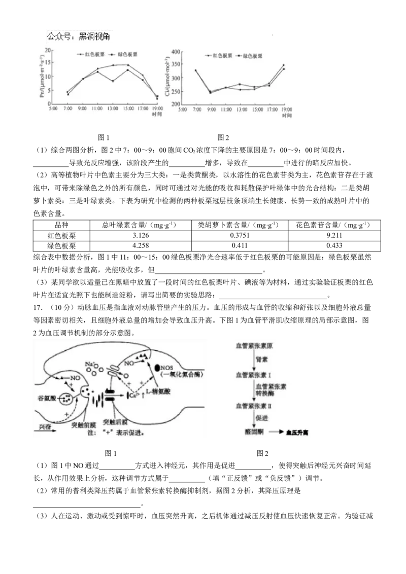 四川省成都市树德中学2024-2025学年高三上学期12月月考生物+答案_2024-2025高三（6-6月题库）_2024年12月试卷_1219四川省成都市树德中学2024-2025学年高三上学期12月月考