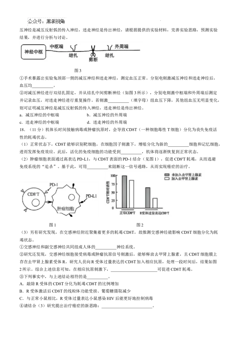 四川省成都市树德中学2024-2025学年高三上学期12月月考生物+答案_2024-2025高三（6-6月题库）_2024年12月试卷_1219四川省成都市树德中学2024-2025学年高三上学期12月月考
