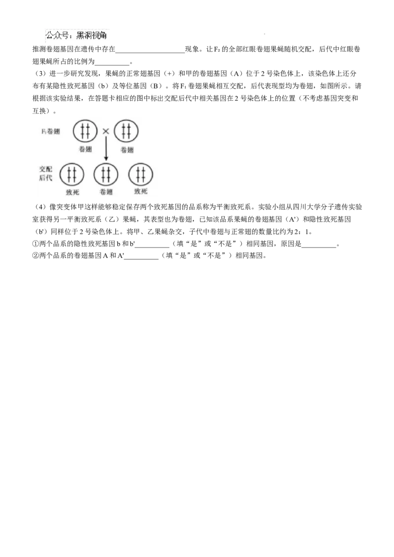 四川省成都市树德中学2024-2025学年高三上学期12月月考生物+答案_2024-2025高三（6-6月题库）_2024年12月试卷_1219四川省成都市树德中学2024-2025学年高三上学期12月月考