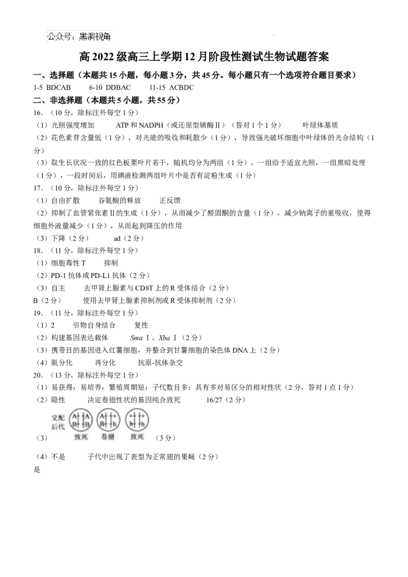 四川省成都市树德中学2024-2025学年高三上学期12月月考生物+答案_2024-2025高三（6-6月题库）_2024年12月试卷_1219四川省成都市树德中学2024-2025学年高三上学期12月月考
