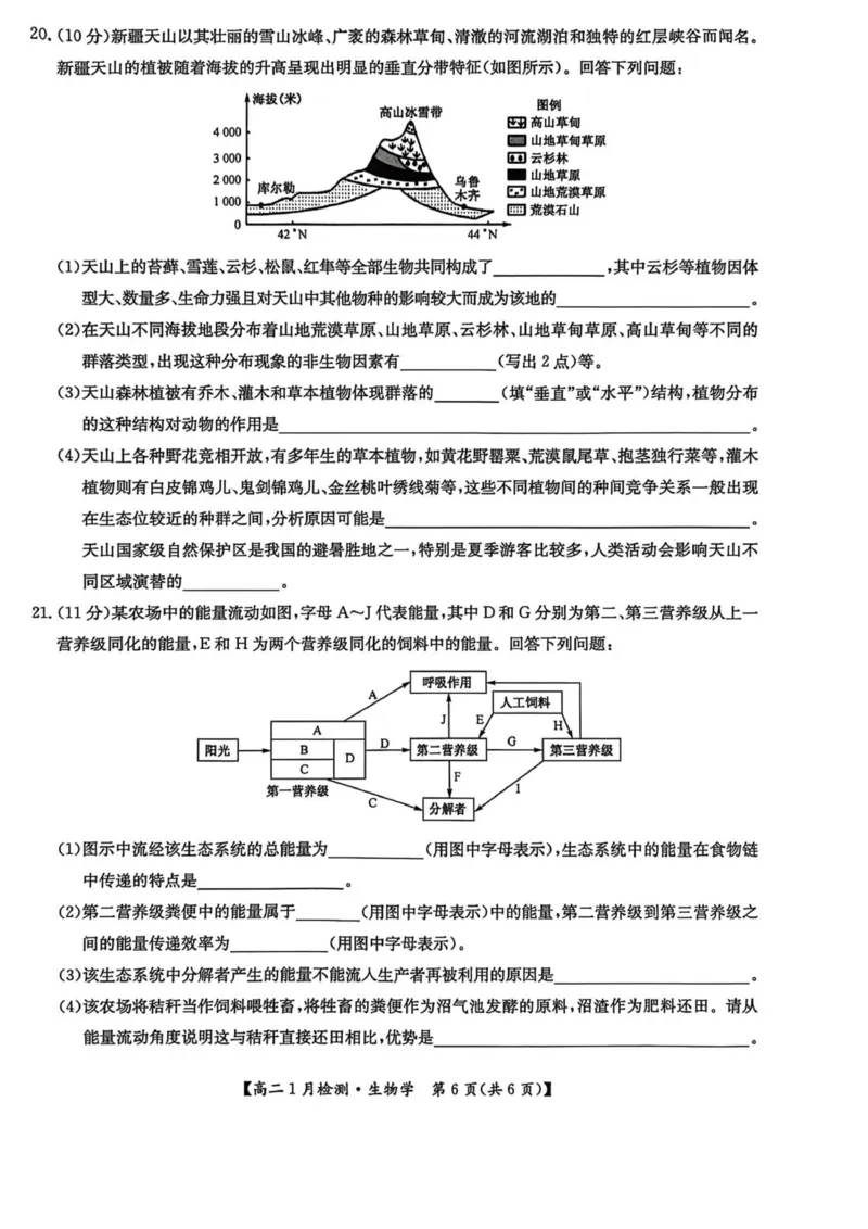 河南省洛阳市洛阳强基联盟2025-2026学年高二上学期1月月考生物试卷_2024-2025高二（7-7月题库）_2026年1月高二_260108河南省洛阳市强基联盟2025-2026学年高二上学期1月检测（全）
