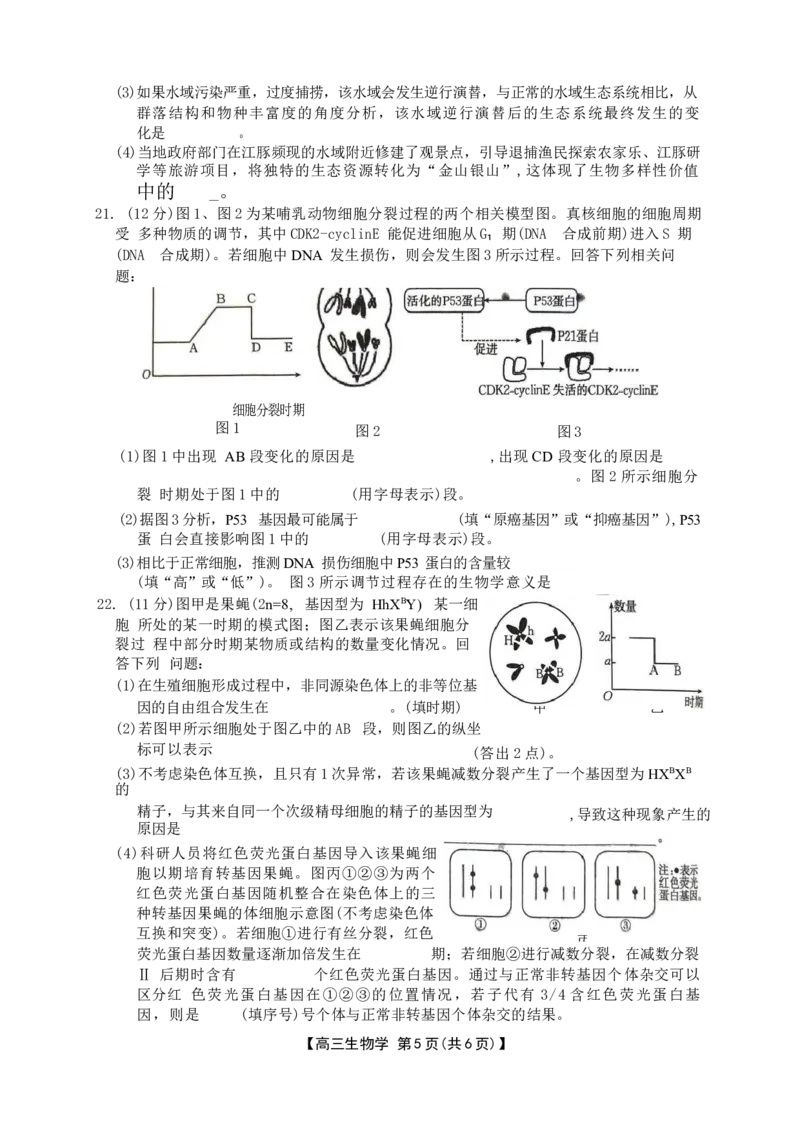 河北省衡水市桃城区多校2024-2025学年高三上学期10月学科素养监测（三调）生物Word版含答案_2024-2025高三（6-6月题库）_2024年11月试卷