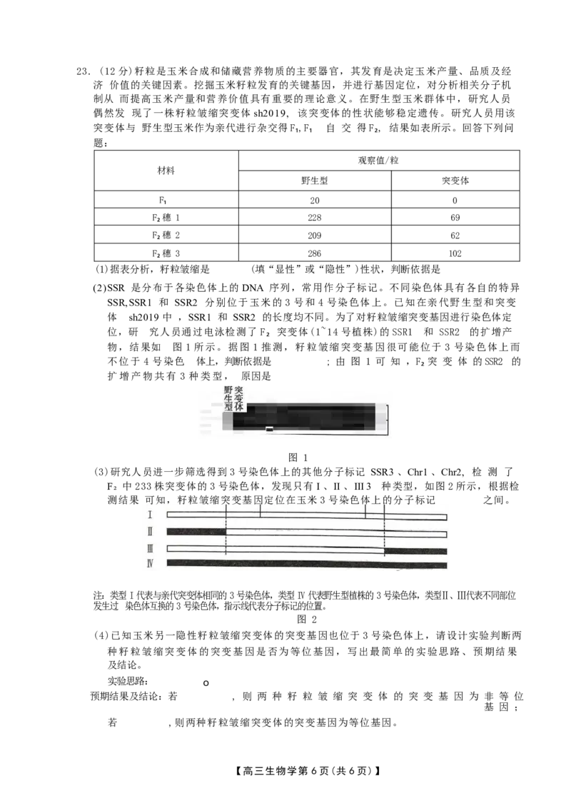 河北省衡水市桃城区多校2024-2025学年高三上学期10月学科素养监测（三调）生物Word版含答案_2024-2025高三（6-6月题库）_2024年11月试卷
