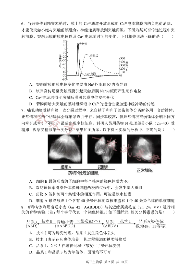 生物试卷2023-2024苏州高三上期中调研考(1)_2023年11月_0211月合集_2024届江苏省苏州市高三上学期期中调研考试_江苏省苏州市2023_2024学年高三上学期期中调研生物