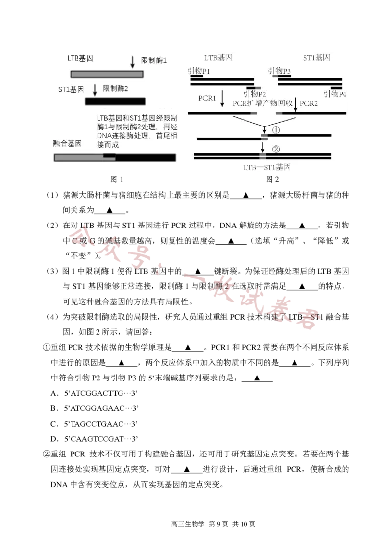 生物试卷2023-2024苏州高三上期中调研考(1)_2023年11月_0211月合集_2024届江苏省苏州市高三上学期期中调研考试_江苏省苏州市2023_2024学年高三上学期期中调研生物