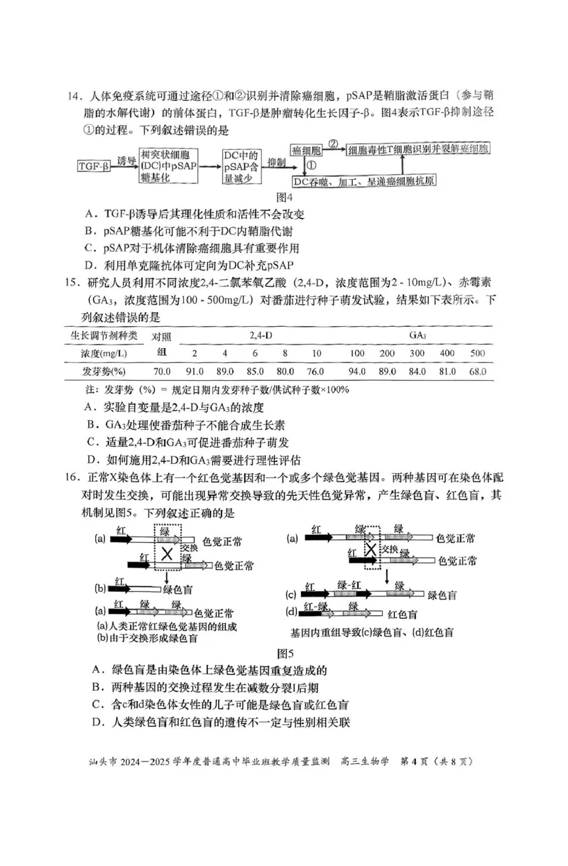 广东省汕头市2025届高三上学期12月期末考试生物试卷（图片版，含答案）_2024-2025高三（6-6月题库）_2024年12月试卷_1231广东省汕头市2024-2025学年高三上学期12月期末教学质量监测