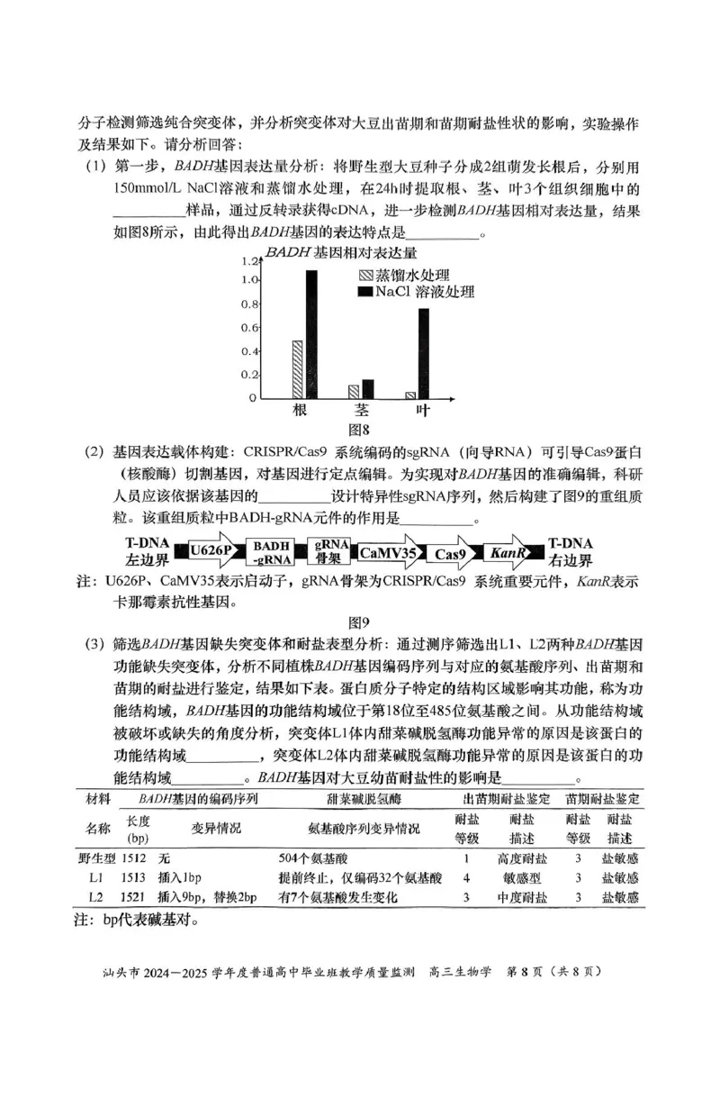 广东省汕头市2025届高三上学期12月期末考试生物试卷（图片版，含答案）_2024-2025高三（6-6月题库）_2024年12月试卷_1231广东省汕头市2024-2025学年高三上学期12月期末教学质量监测