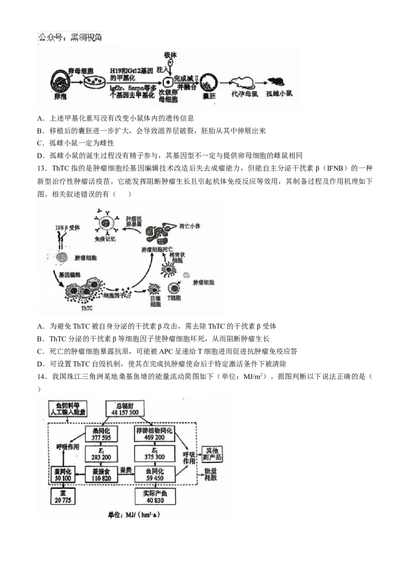 广东省六校2025届高三上学期10月联考生物试题（含答案）_2024-2025高三（6-6月题库）_2024年10月试卷_10182025届广东省六校高三上学期10月联考