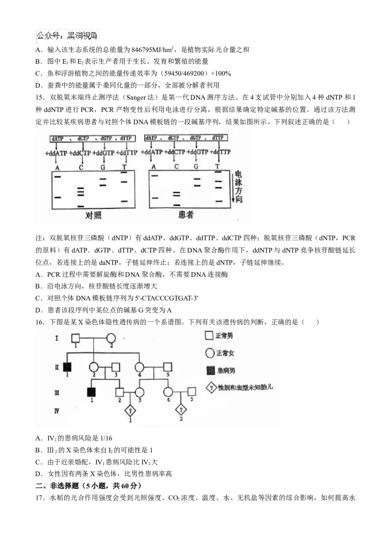 广东省六校2025届高三上学期10月联考生物试题（含答案）_2024-2025高三（6-6月题库）_2024年10月试卷_10182025届广东省六校高三上学期10月联考