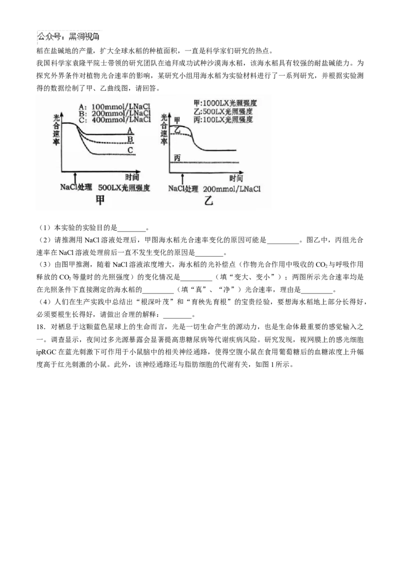 广东省六校2025届高三上学期10月联考生物试题（含答案）_2024-2025高三（6-6月题库）_2024年10月试卷_10182025届广东省六校高三上学期10月联考