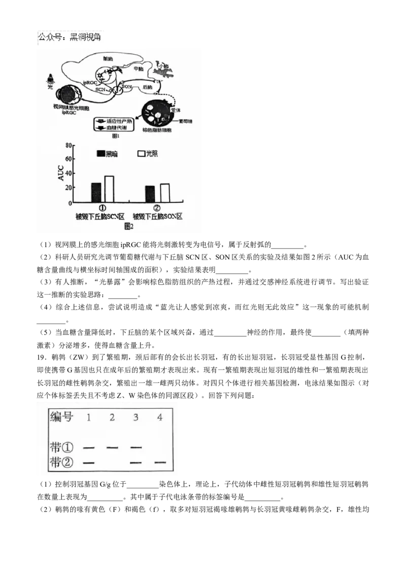 广东省六校2025届高三上学期10月联考生物试题（含答案）_2024-2025高三（6-6月题库）_2024年10月试卷_10182025届广东省六校高三上学期10月联考