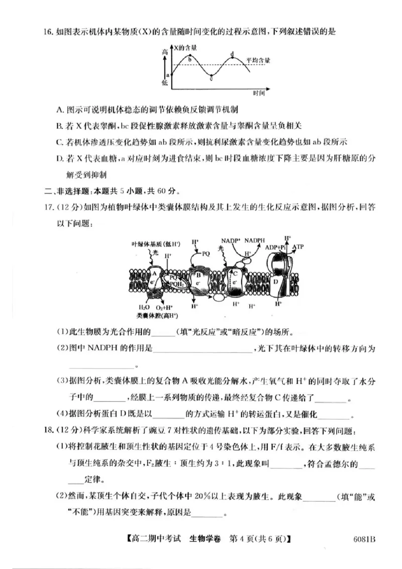 南宁4+N联盟2025秋季期中高二生物试卷_251229广西南宁市&ldquo;4+N&rdquo;联盟学校2025-2026学年高二上学期期中考试（全）_广西南宁市&ldquo;4+N&rdquo;联盟学校2025-2026学年高二上学期期中考试生物试题含答案