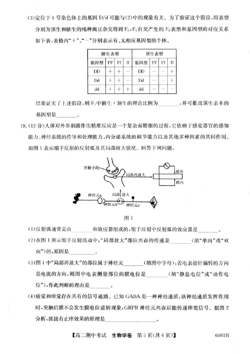 南宁4+N联盟2025秋季期中高二生物试卷_251229广西南宁市&ldquo;4+N&rdquo;联盟学校2025-2026学年高二上学期期中考试（全）_广西南宁市&ldquo;4+N&rdquo;联盟学校2025-2026学年高二上学期期中考试生物试题含答案