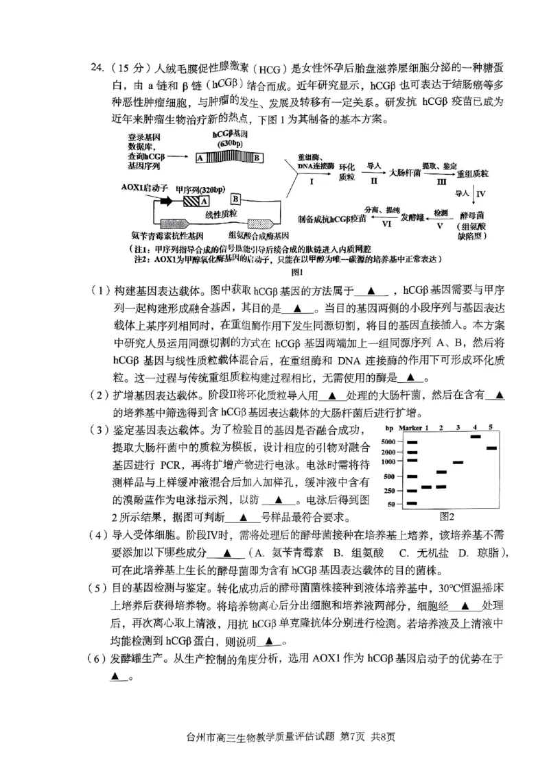 台州市2024届高三第一次教学质量评估试题-生物（试题卷）(1)_2023年11月_0211月合集_2024届浙江省台州市高三第一次教学质量评估_浙江省台州市2024届高三第一次教学质量评估生物