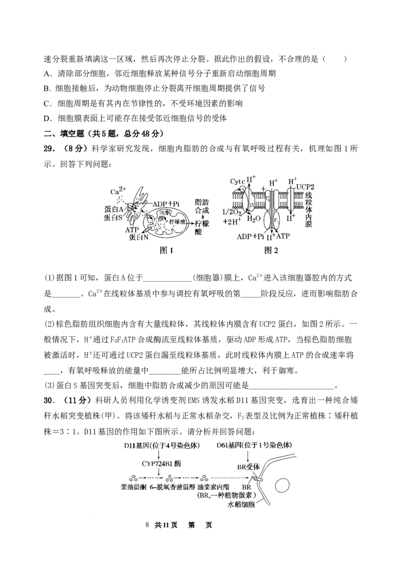 陕西省西安市长安区第一中学2023-2024学年高三上学期第三次教学质量检测（期中）生物试题(1)_2023年11月_0211月合集