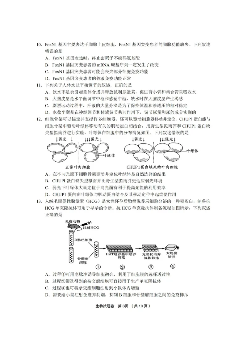 生物卷-2403金丽衢十二校（七彩阳光）(1)_2024年3月_013月合集_2024届浙江省金丽衢十二校高三第二次联考