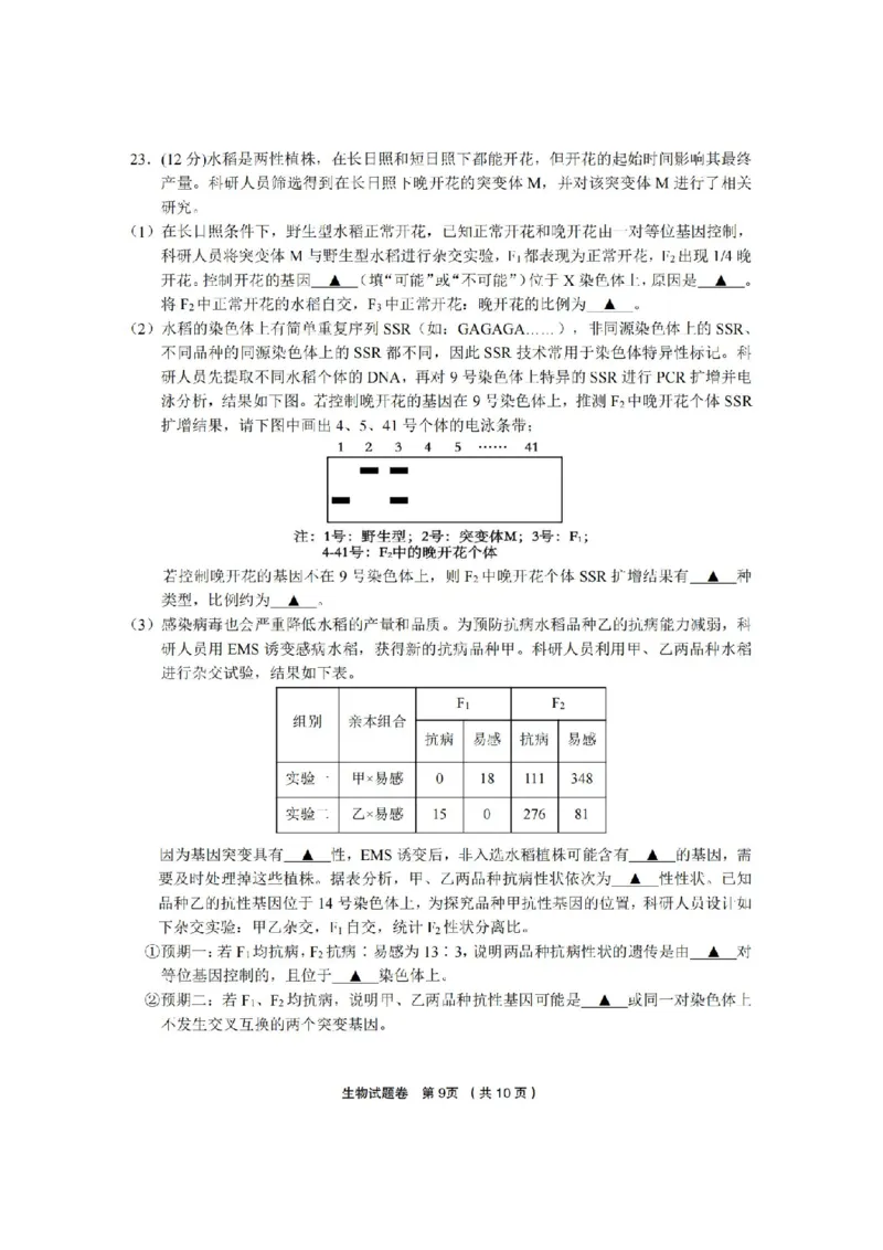生物卷-2403金丽衢十二校（七彩阳光）(1)_2024年3月_013月合集_2024届浙江省金丽衢十二校高三第二次联考