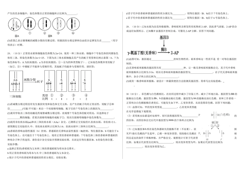 学生卷-2024-2025学年第一学期高二生物月考试卷_2024-2025高二（7-7月题库）_2024年09月试卷_0903新疆石河子市第一中学2024-2025学年高二上学期8月月考（开学考）