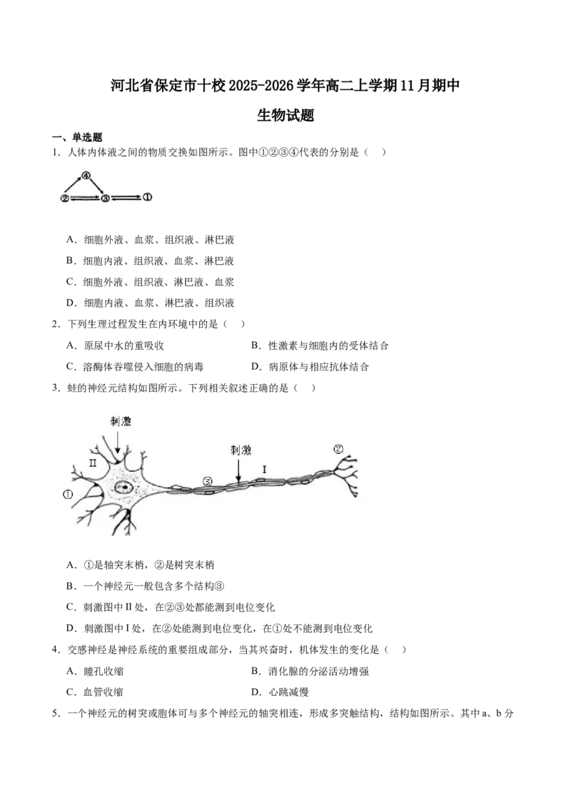 河北省保定市十校2025-2026学年高二上学期期中考试生物Word版含答案_2024-2025高二（7-7月题库）_2026年1月高二_260101河北省保定市十校2025-2026学年高二上学期期中考试（全）