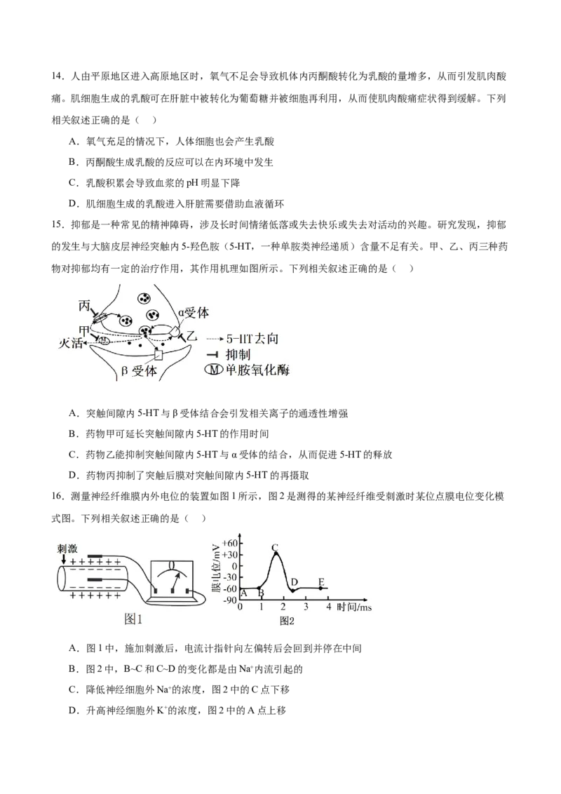 河北省保定市十校2025-2026学年高二上学期期中考试生物Word版含答案_2024-2025高二（7-7月题库）_2026年1月高二_260101河北省保定市十校2025-2026学年高二上学期期中考试（全）