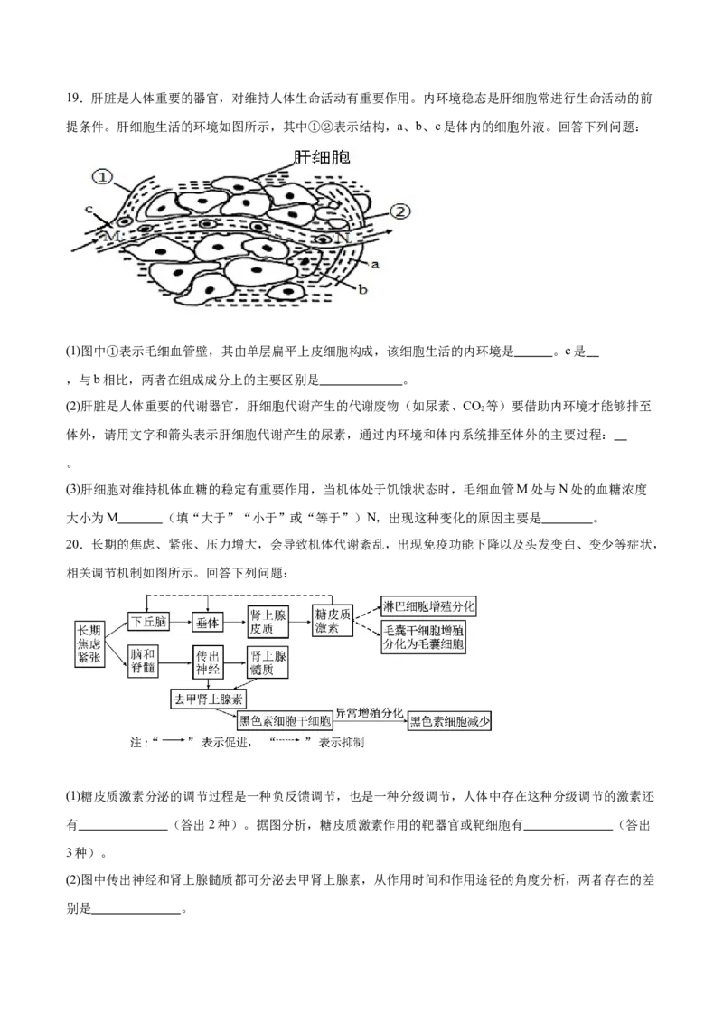 河北省保定市十校2025-2026学年高二上学期期中考试生物Word版含答案_2024-2025高二（7-7月题库）_2026年1月高二_260101河北省保定市十校2025-2026学年高二上学期期中考试（全）