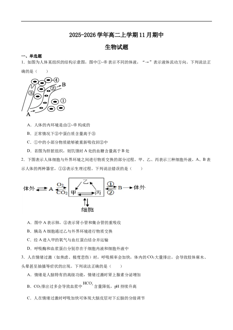 山东省德州市2025-2026学年高二上学期期中考试生物Word版含答案_2024-2025高二（7-7月题库）_2026年1月高二_260110山东省德州市2025-2026学年高二上学期期中考试（全）