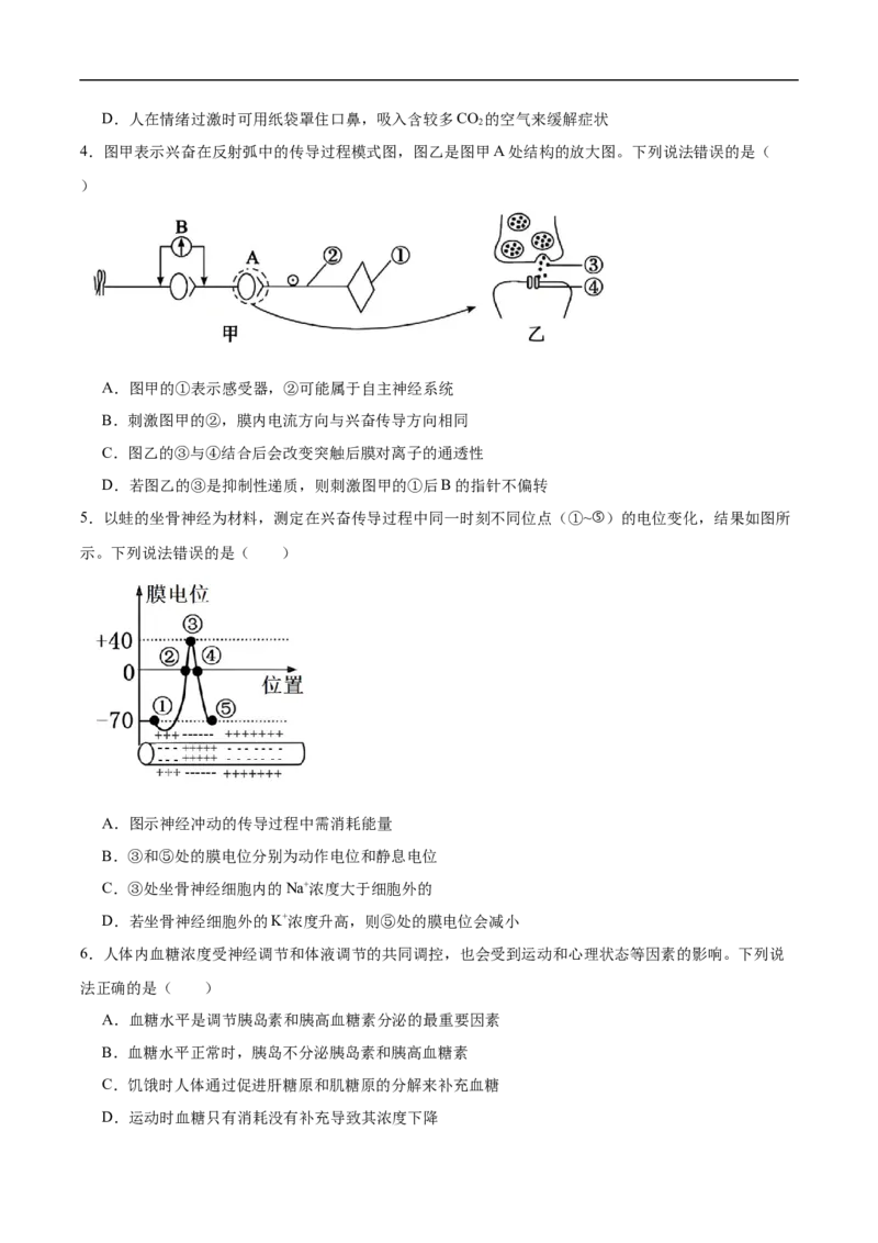 山东省德州市2025-2026学年高二上学期期中考试生物Word版含答案_2024-2025高二（7-7月题库）_2026年1月高二_260110山东省德州市2025-2026学年高二上学期期中考试（全）