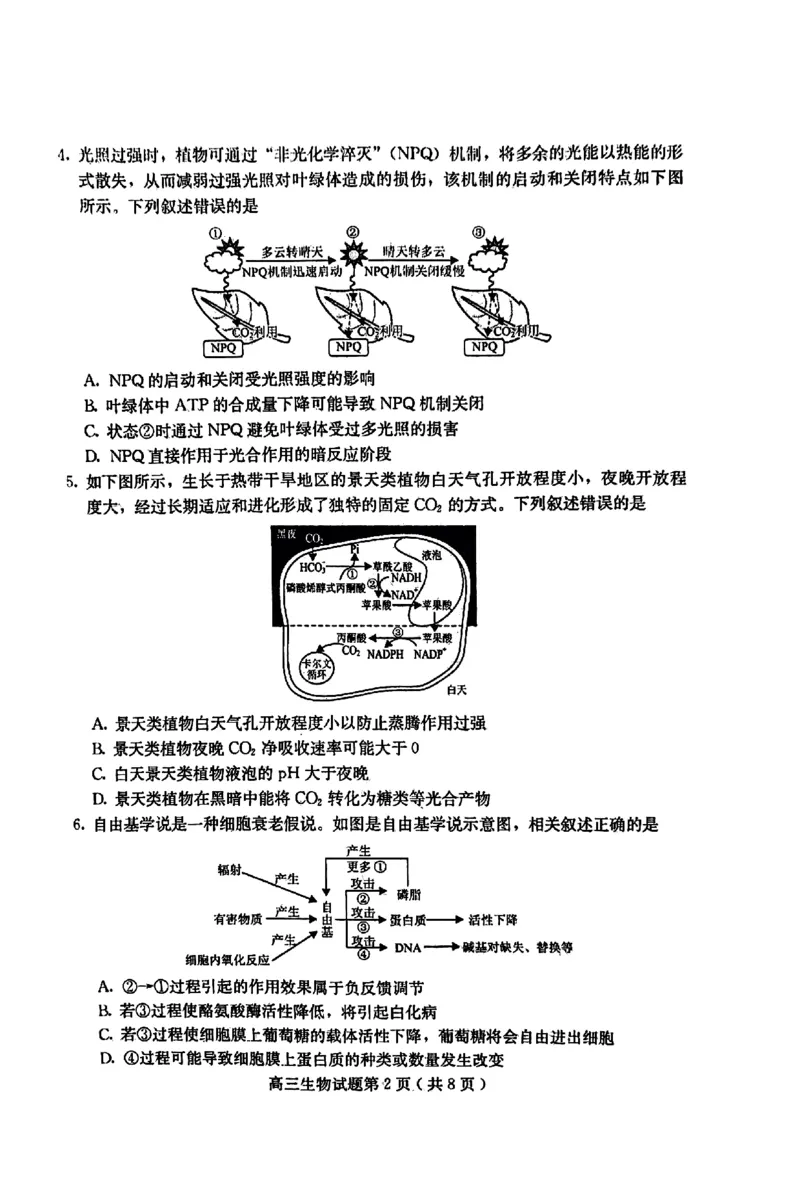 高三生物(1)_2023年11月_0211月合集_2024届河北省保定市高三上学期摸底考试(期中考试)_河北省保定市2024届高三上学期摸底考试(期中考试)生物