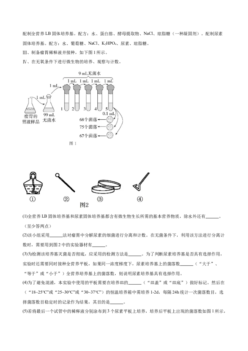 湖北省十堰市六县市一中教联体2024-2025学年高二下学期3月联考生物试卷（有答案）_2024-2025高二（7-7月题库）_2025年04月试卷(1)
