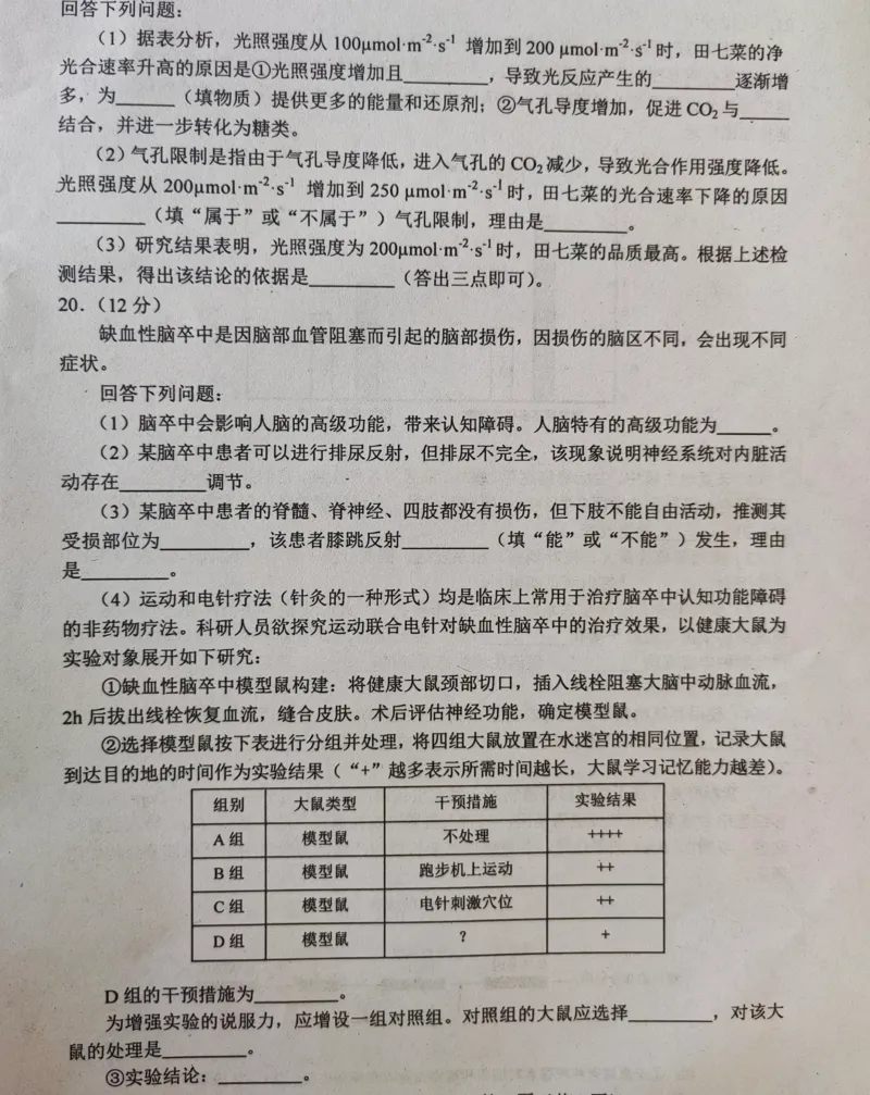 河北省唐山市2024-2025学年高三上学期摸底演练生物试题_2024-2025高三（6-6月题库）_2024年09月试卷_0913河北省唐山市2024-2025学年高三上学期开学考试试题