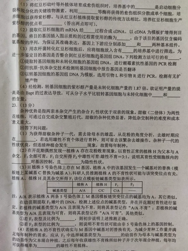 河北省唐山市2024-2025学年高三上学期摸底演练生物试题_2024-2025高三（6-6月题库）_2024年09月试卷_0913河北省唐山市2024-2025学年高三上学期开学考试试题